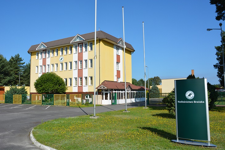 Headquarters Nadleśnictwo Brzózka