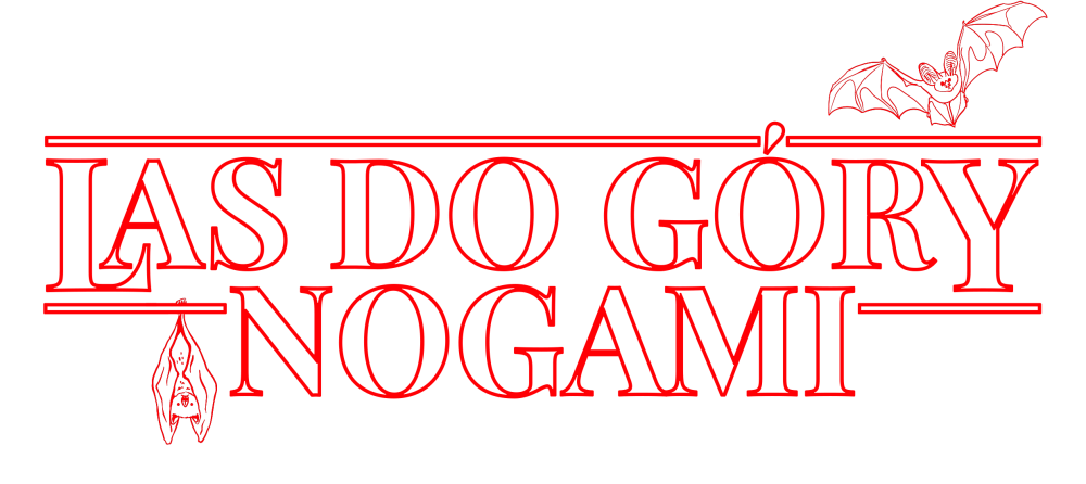 LAS DO GÓRY NOGAMI